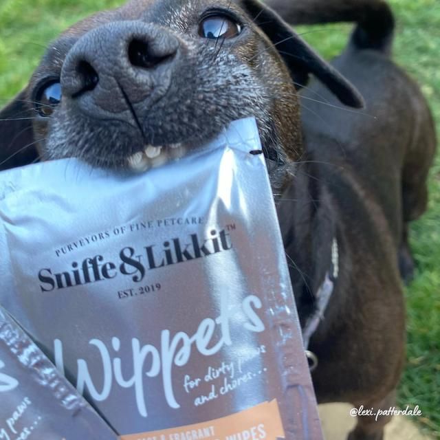 Sniffe &amp;amp; Likkit Wippets Fast &amp;amp; Fragrant Paw-Kit Dog Cleansing Wipes 10pk