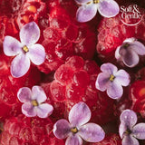 Soft &amp;amp; Gentle Aerosol Berry Bliss 250Ml