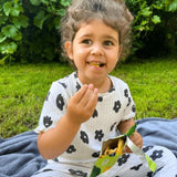 Soul Fruit Freeze Dried Jackfruit Crisps   20g